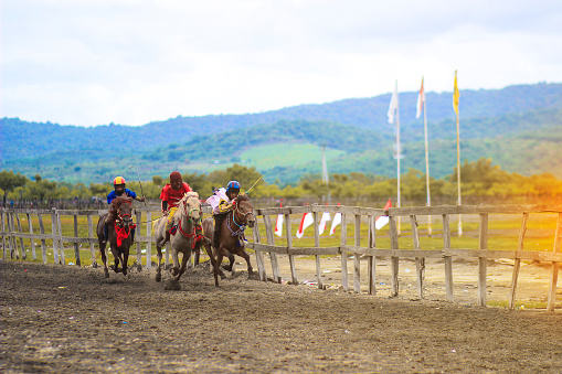 Main jaran is a Horse racing, compete quickly to reach the finish line, Kuda liar sumbawa : Indonesia march, 25 2021