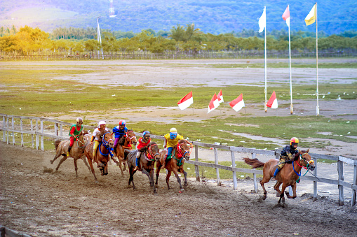 Main jaran is a Horse racing, compete quickly to reach the finish line, Kuda liar sumbawa : Indonesia march, 25 2021
