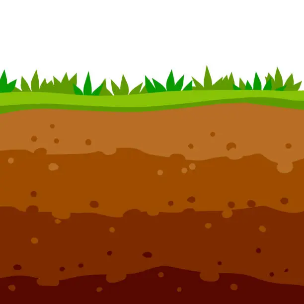 Vector illustration of Land in the section. Brown soil layer. Background for archaeology. Underground geology. Summer landscape. Flat cartoon