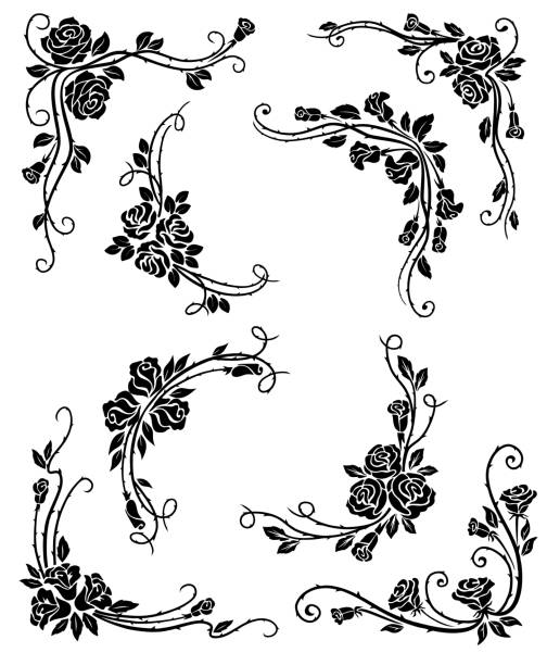 Floral corners, frame and vignette borders Floral corners, frame and vignette borders vector design with black rose flowers, leaves and flourish vine swirls. Vintage calligraphic elements for page decoration, wedding invitation, greeting card swirly vines stock illustrations