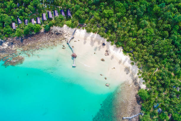 istock Aerial view sea shore white sand beach with coconut palm tree 1309384581
