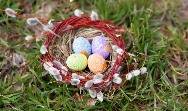 un hermoso nido de ramas de hierba y sauce de coño con huevos de pascua decorados en una hierba verde con bokeh soleado. tarjeta de pascua, estandarte, copiar pasta. feliz pascua - animal egg golden animal nest nest egg fotografías e imágenes de stock