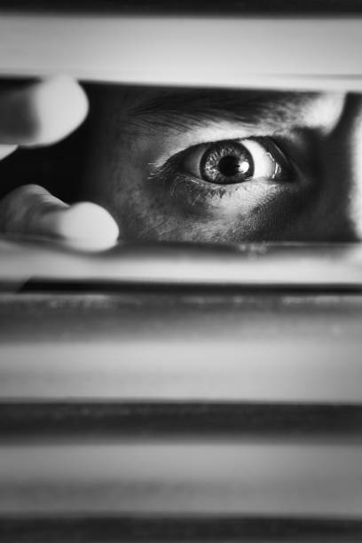 istock Young woman's eye peering anxiously through window blinds 1309389092