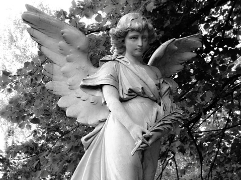 Angel in black and white
