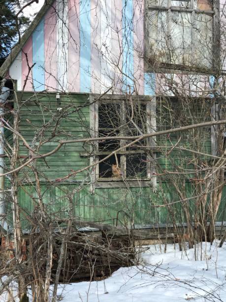 istock Abandoned house and a cat in the window 1309399007