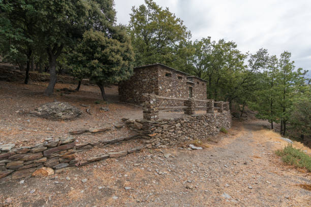 istock construction in a picnic area in Sierra Nevada 1309400996