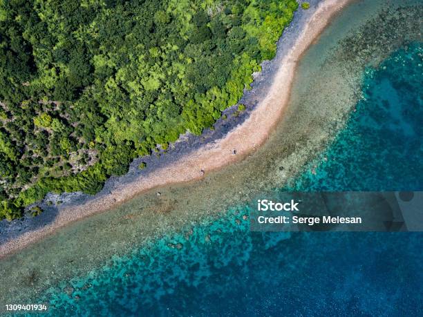 Colors Of Mayotte Reef Stock Photo - Download Image Now - Mayotte, Scenics - Nature, Beach
