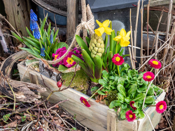 istock Basket with flowers in spring as a decoration 1309402050