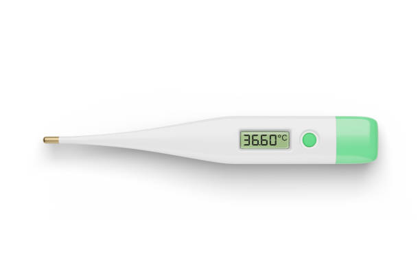 istock Electronic clinical thermometer isolated on white. 3D rendering. 1309402725