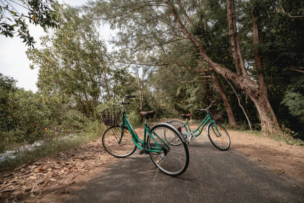 istock A bicycle on road with sunlight and green tree in park outdoor. 1309403591