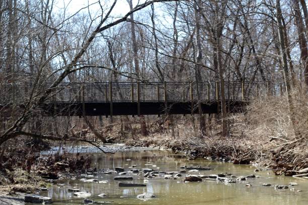 istock Creek in the Parks Woods 1309407303