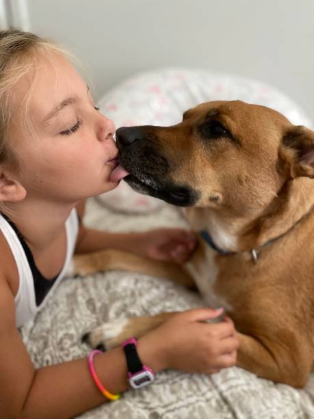 istock Puppy kisses 1309409306