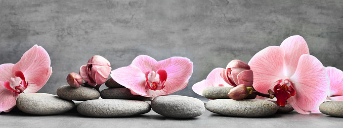 Spa stones and pink orchid on the grey background. Spa concept.