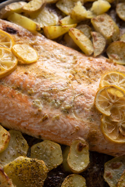 istock Fillet of salmon 1309414855