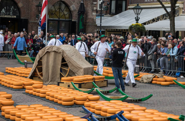 Typical cheese market in the city of Alkmaar in Netherlands Alkmaar, Netherlands - April 21, 2017: Typical cheese market in the city of Alkmaar in Netherlands, one of the only four traditional Dutch cheese markets still in existence and one of the country's most popular tourist attractions. cheese dutch culture cheese making people stock pictures, royalty-free photos & images