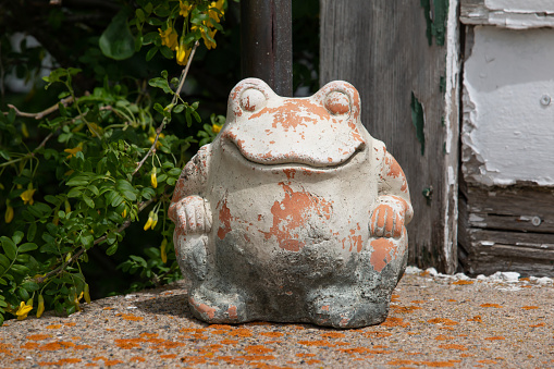 A weathered, old, bullfrog shaped cement lawn ornament sits outside in the garden.