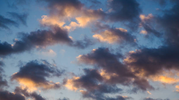 Beautiful yellowish hues during sunset Cumulus clouds illuminated at their base by the light of the setting sun cirrus storm cloud cumulus cloud stratus stock pictures, royalty-free photos & images