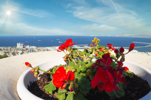 Beautiful view of the coastline of Haifa. Cityscape and view on the port.