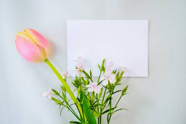 mockup von tulpen, dianthus und rechteckigen weißen karten mit einem blass grünen tuch im hintergrund, horizontal platziert - prachtnelke stock-fotos und bilder