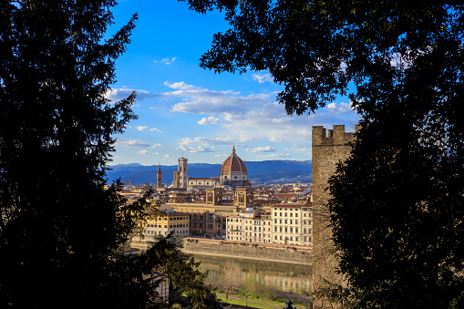 View of Florence from afar