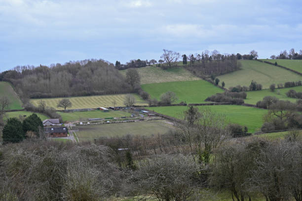 istock Wild Garlic, Donkeys, Ponies and great views, Wenlock Edge. 1309427351