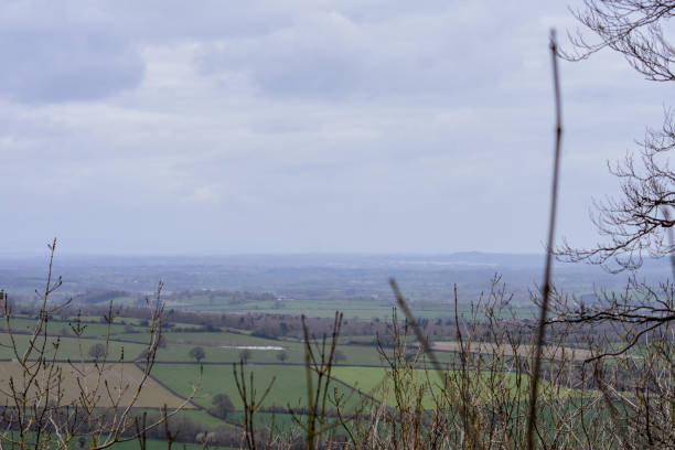 istock Wild Garlic, Donkeys, Ponies and great views, Wenlock Edge. 1309427994