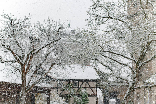 Snow-covered trees and houses during a Blizzard in the city of Bamberg