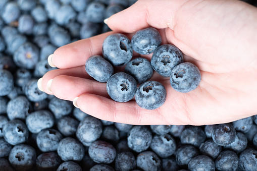 Large cultivated blueberries.