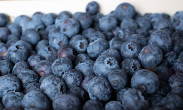 istock Box full of perfect fresh blueberries. 1309437081