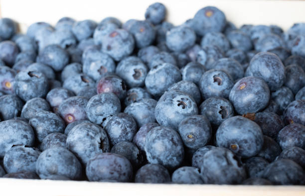 istock Box full of perfect fresh blueberries. 1309437089