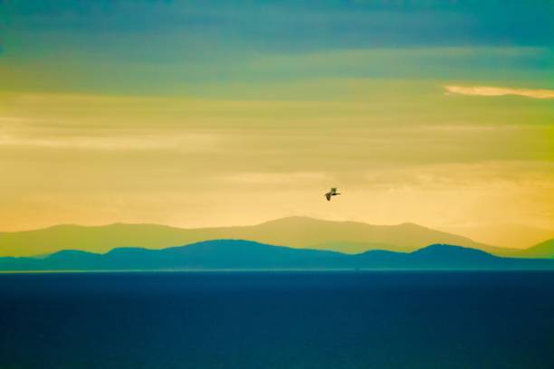 The sun's rays are reflected on the sea. The sky is burning. Orange sun and fantastic sunset over the sea. Beautiful landscape with golden sun, sea and sunset. Big shining sun