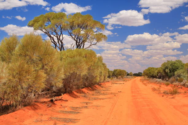 istock Australian outback wilderness and remoteness 1309437486