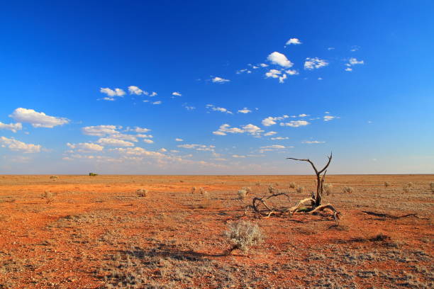 Aerial View from the Outback between Wiluna and Meekatharra, Western Australia, Australia