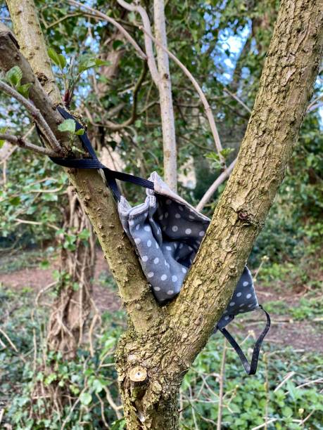 istock Abandoned face masks in a tree during COVID-19 pandemic 1309440457