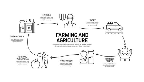 11,500+ Farm Data Stock Illustrations, Royalty-Free Vector Graphics ...