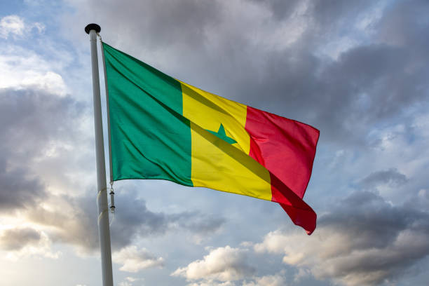 Senegal flag waving against cloudy sky Senegal sign symbol. Senegalese national flag on a pole waving against cloudy sky background. senegal flag stock pictures, royalty-free photos & images