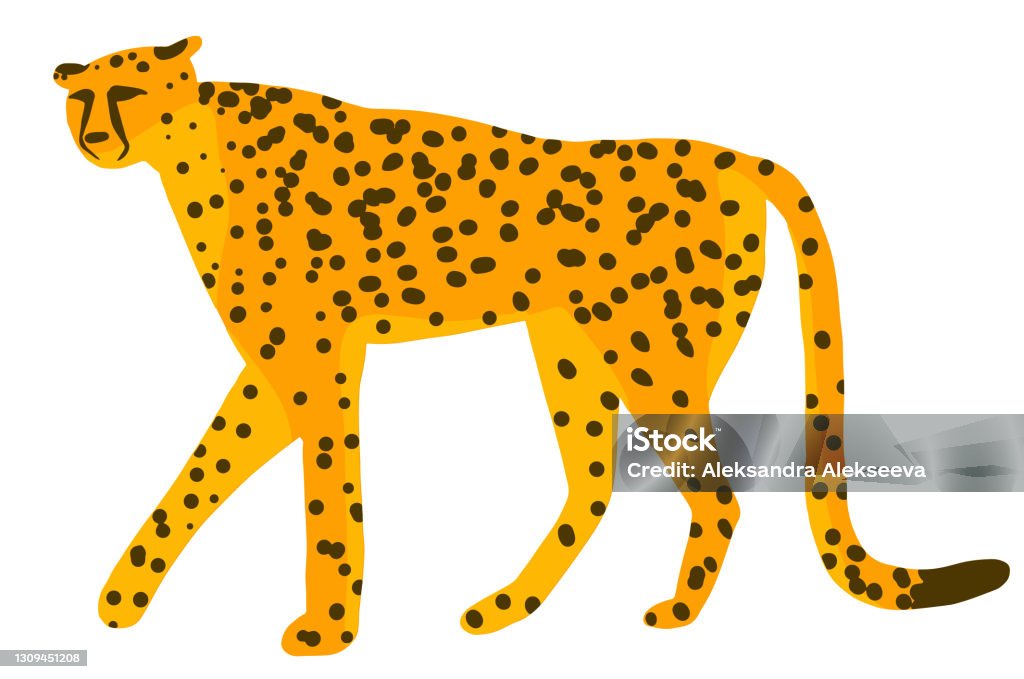Cute Cheetah Leopard Or Jaguar Cartoon Character Jungle Tropical Animal  Stock Illustration - Download Image Now - iStock