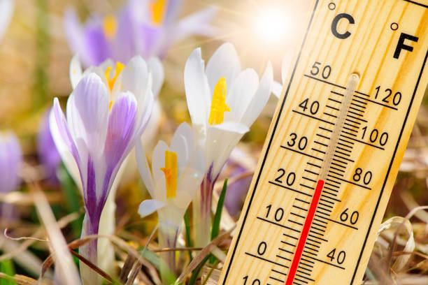 istock warm temperature at spring with fine weather and sun 1309451266