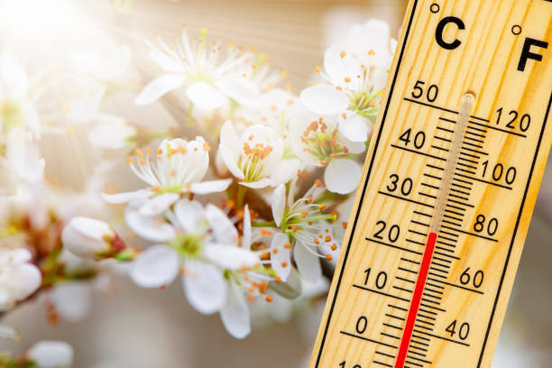 température chaude au printemps avec beau temps et soleil - pollen forecast photos et images de collection