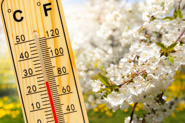 istock warm temperature at spring with fine weather and sun 1309451647