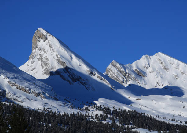 istock Beautiful shaped peaks of the Churfirsten Range. 1309452813