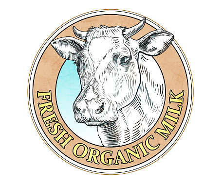 Milk label with a cow head drawn with black ink. Digital illustration.