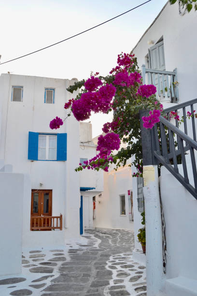 istock Charming Mykonos Street 1309454780