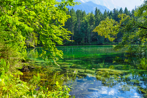 Lake Planšarsko jezero in the Zgornje Jezersko valley in Slovenia during a beautiful springtime day with the mountain range in the Kamnik–Savinja Alps in the background.