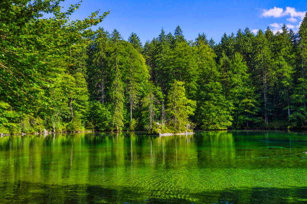 lago badersee a grainau, baviera - grainau foto e immagini stock