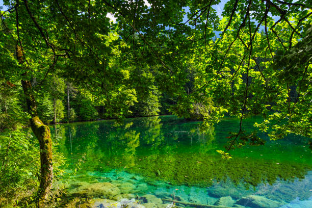istock Badersee Lake in Grainau, Bavaria 1309456931