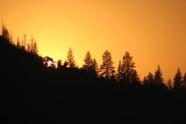 istock Bass Lake Sunset 1309458028