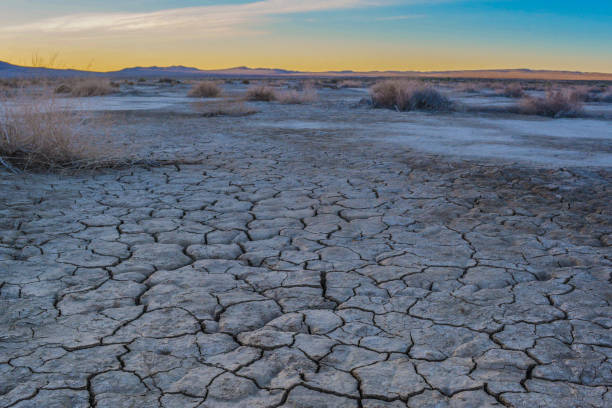 istock Anza-Borrego Desert Park, California 1309458269