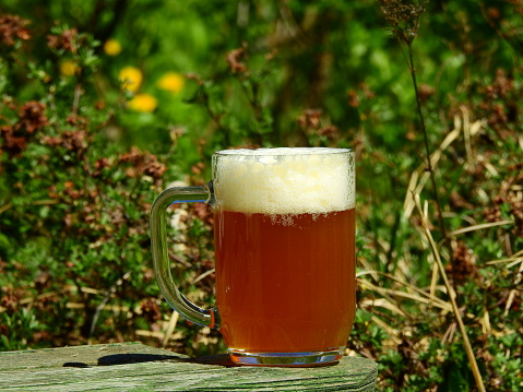 A beer mug with light amber beer with some foam on top in an early spring garden on a rough table in the country