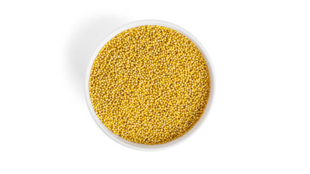 istock Millet cereal isolated on a white background 1309463063
